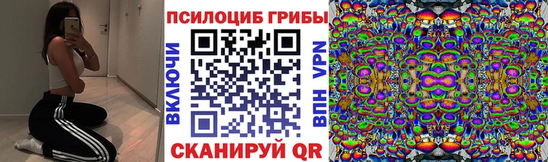 Галлюциногенные грибы Psilocybe  МЕГА ссылки  Алзамай  где продают  