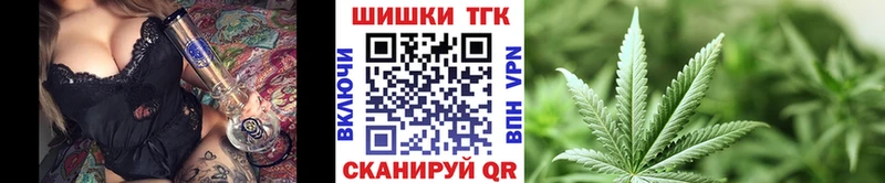 где купить наркотик  Алзамай  мега сайт  Бошки Шишки семена 